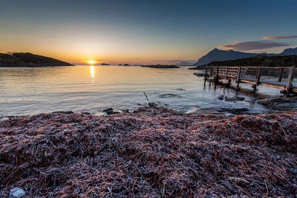 Lofoten - New Apartment, Close To Airport. Leknes Dış mekan fotoğraf